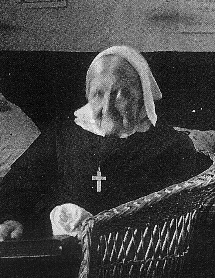 BASSEWITZ, Luise von